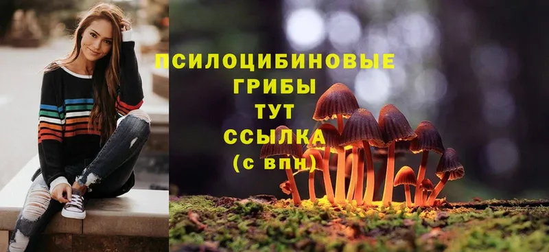 Галлюциногенные грибы Magic Shrooms  блэк спрут ONION  мориарти формула  Апрелевка 